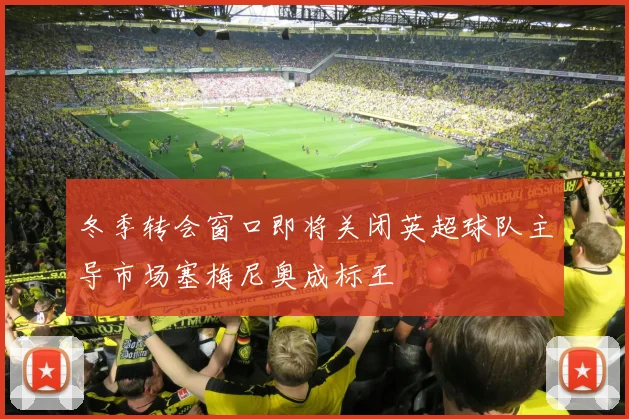 冬季转会窗口即将关闭英超球队主导市场塞梅尼奥成标王